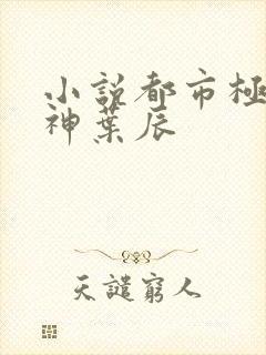 小说都市极品医神叶辰