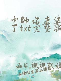 少帅你老婆又跑了txt完整版下载