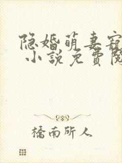 隐婚萌妻宠上瘾 小说免费阅读