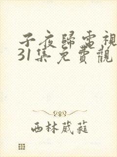 子夜归电视剧第31集免费观看