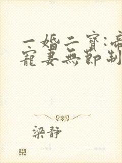 一婚二宝:帝少宠妻无节制 小说