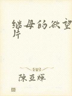 继母的欲望伦理片
