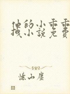 他的小乖乖甜又拽小说免费阅读