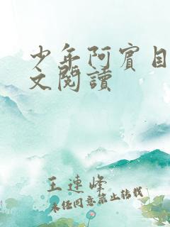 少年阿宾目录全文阅读