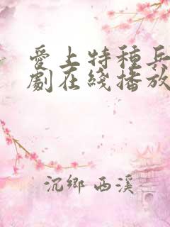 爱上特种兵电视剧在线播放 爱上特种兵电视剧在线播放