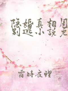 隐婚真相周少你别逃小说免费阅读