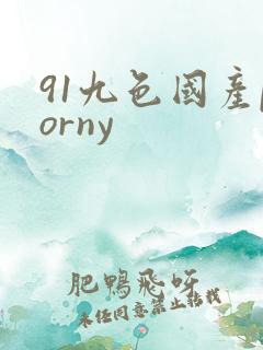 91九色国产porny