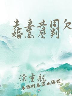 夫妻共同欠款离婚怎么判