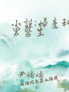 小说:妇产科的男医生