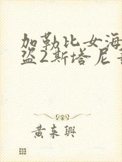 加勒比女海盗海盗2斯塔尼蒂的复仇