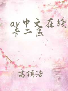 av中文在线不卡二区