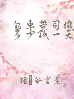 包车带司机中巴多少钱一天