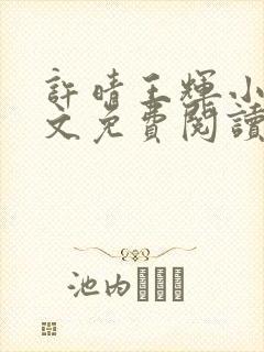 许晴王辉小说全文免费阅读