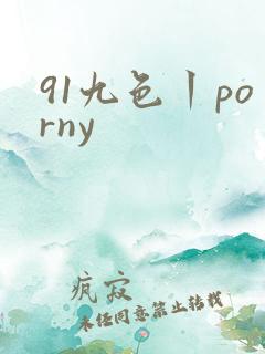 91九色丨porny