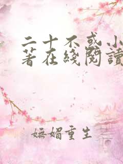 二十不惑小说原著在线阅读