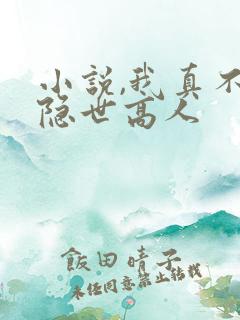 小说,我真不是隐世高人