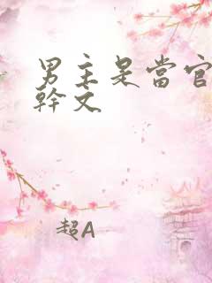 男主是当官的高干文