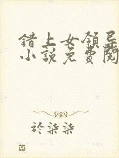 错上女领导官场小说免费阅读