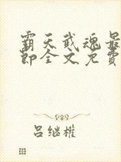 霸天武魂最新章节全文免费阅读