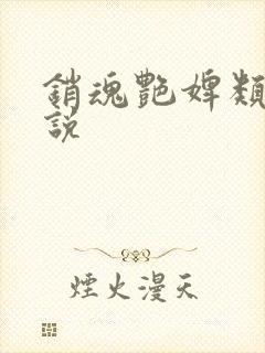 销魂艳婢类似小说
