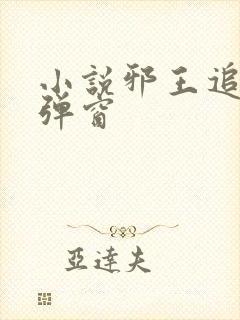 小说邪王追妻无弹窗