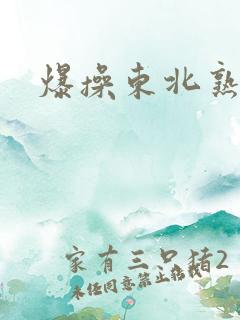 爆操东北熟妇