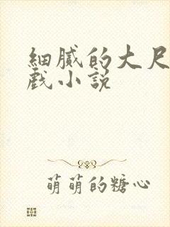 细腻的大尺度床戏小说