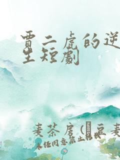 贾二虎的逆袭人生短剧