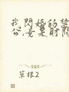 我闪婚的禁欲老公,竟是财阀大佬