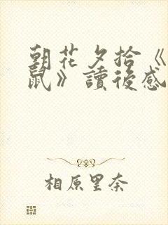 朝花夕拾《狗猫鼠》读后感600字