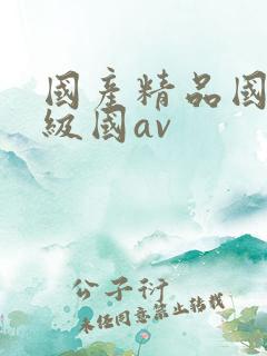 国产精品国产三级国av