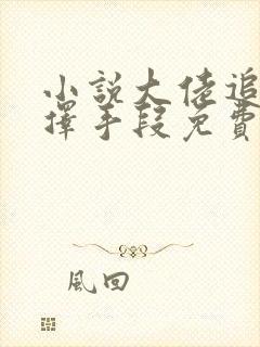 小说大佬追妻不择手段免费阅读