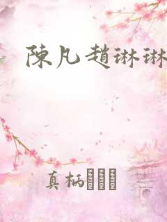 陈凡赵琳琳小说
