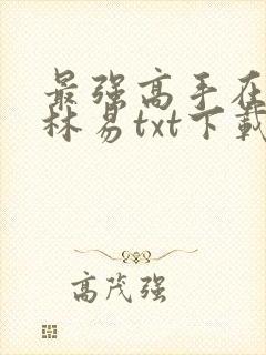 最强高手在都市林易txt下载