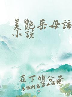 美艳岳母诱惑我小说