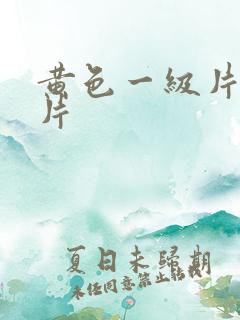 黄色一级片国产片