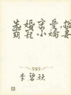 先婚密爱,总裁霸宠小娇妻 吉祥夜