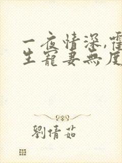 一夜情深,霍先生宠妻无度网络小说