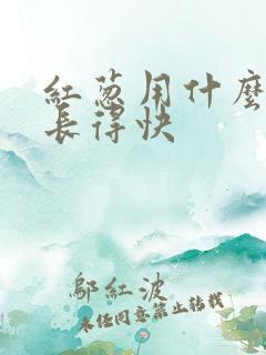 红葱用什么肥料长得快