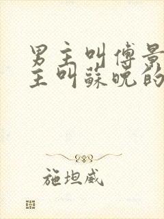 男主叫傅景琛女主叫苏晚的小说