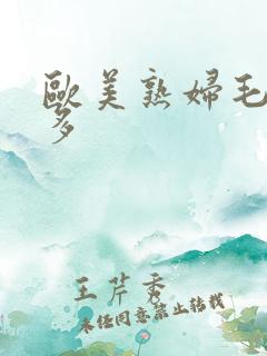 欧美熟妇毛多水多