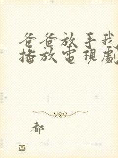 爸爸放手我免费播放电视剧