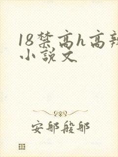 18禁高h高辣小说文