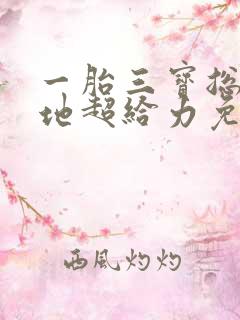 一胎三宝总裁爹地超给力免费阅读