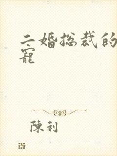 二婚总裁的心尖宠