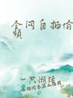 全网自拍偷拍视频