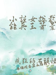 小说女总裁的全能兵王萧晨完全版