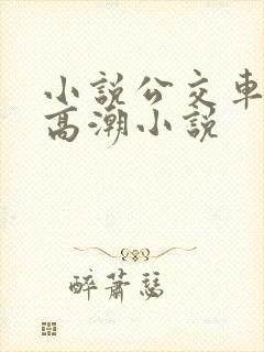 小说公交车被上高潮小说