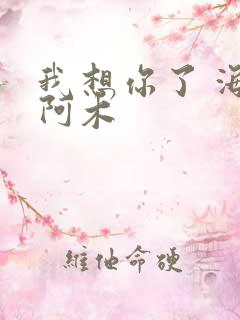 我想你了 海来阿木