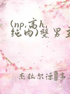 (np,高h,纯肉)双男主 (np,高h,纯肉)双男主